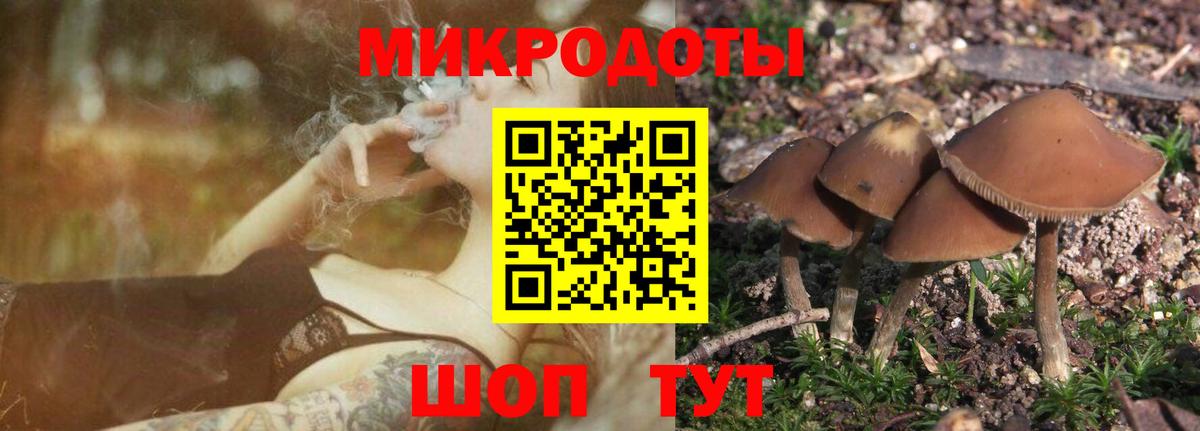 Псилоцибиновые грибы Cubensis Кирово-Чепецк
